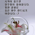 '.' 글에 포함된 이미지