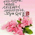 '.' 글에 포함된 이미지