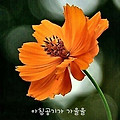 '.' 글에 포함된 이미지