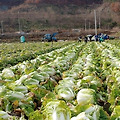 '오늘은 함께하는 모임' 글에 포함된 이미지