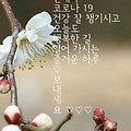 '굿모닝 입니다♡' 글에 포함된 이미지