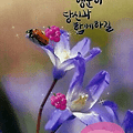 '.' 글에 포함된 이미지
