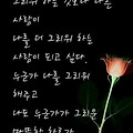 '.' 글에 포함된 이미지