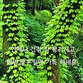 '.' 글에 포함된 이미지