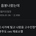 댓글 첨부 이미지