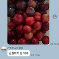 댓글 첨부 이미지