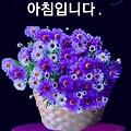 '출석합니다 ' 글에 포함된 이미지