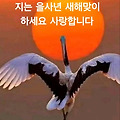 '고맙습니다💖2025년' 글에 포함된 이미지