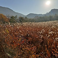'야~~~호!!우리 서로 ' 글에 포함된 이미지