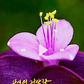 '대가리가 깨어져도 투' 글에 포함된 이미지