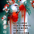 '출석합니다 ' 글에 포함된 이미지
