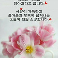 '라콤파라시~~~타' 글에 포함된 이미지