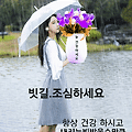 '비모닝 입니다그래도 ' 글에 포함된 이미지