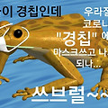 '요즘날씨가 왜이리 춥' 글에 포함된 이미지