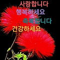 '출석합니다 ' 글에 포함된 이미지