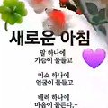 '출석합니다 ' 글에 포함된 이미지