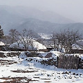 '지금도 아련히 떠 오' 글에 포함된 이미지