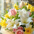'지구에서 벌어지는 나' 글에 포함된 이미지