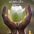 '고생도 해보고 연애도' 글에 포함된 이미지