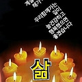 '출석합니다 ' 글에 포함된 이미지