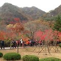 '이가을 아름다운 단풍' 글에 포함된 이미지