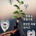 '출석합니다 ' 글에 포함된 이미지
