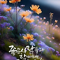 '출석합니다 ' 글에 포함된 이미지