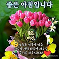 '출석합니다 ' 글에 포함된 이미지