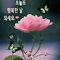 '출석합니다 ' 글에 포함된 이미지
