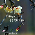 '봄소식 전합니다.구례' 글에 포함된 이미지