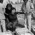 '정말 2놈들은 심심하' 글에 포함된 이미지