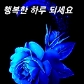 '출석합니다 ' 글에 포함된 이미지