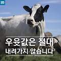 '요지부동.....동' 글에 포함된 이미지