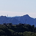 '야 오늘은 파주 앵무' 글에 포함된 이미지