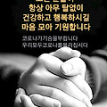 '고생길이 훤하게 보임' 글에 포함된 이미지