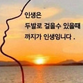 '암세포는 低체온 상황' 글에 포함된 이미지