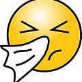 '요즘 추운 날씨에 감' 글에 포함된 이미지