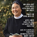 '까마귀도 사랑주면 백' 글에 포함된 이미지