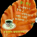 '만상홍엽 가을도 곧 ' 글에 포함된 이미지