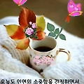 '출석합니다 ' 글에 포함된 이미지