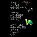 '출석합니다 ' 글에 포함된 이미지