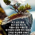 '출석합니다 ' 글에 포함된 이미지