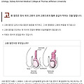 '나의 적들아, 세상에' 글에 포함된 이미지