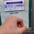 '투표합시다. 사전투표' 글에 포함된 이미지