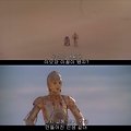 '이제는 하다 하다 가' 글에 포함된 이미지