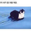 '두근두근' 글에 포함된 이미지