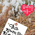 '겨울을 재촉하는 비 ' 글에 포함된 이미지