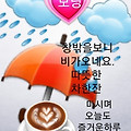 '태풍 하이선 때문에 ' 글에 포함된 이미지