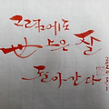'그럼에도...' 글에 포함된 이미지