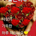 'ㆍ' 글에 포함된 이미지